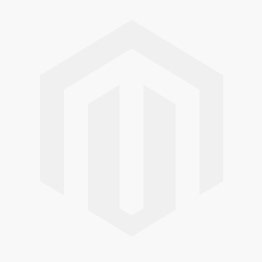 ModellWerft 03/2025 (Download)