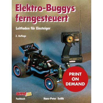 Elektro-Buggys ferngesteuert (PoD)