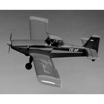 BAUPLAN EMBRAER EMB201A IPANEMA
