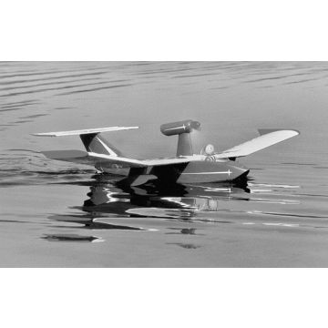 BAUPLAN DUCKLING