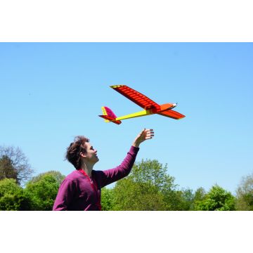 BAUPLAN MINIFEX