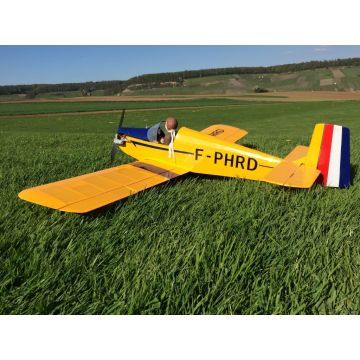 BAUPLAN DRUINE D.31 TURBULENT