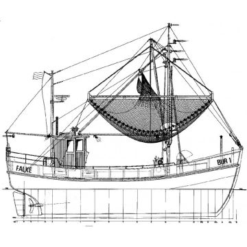 BAUPLAN FALKE